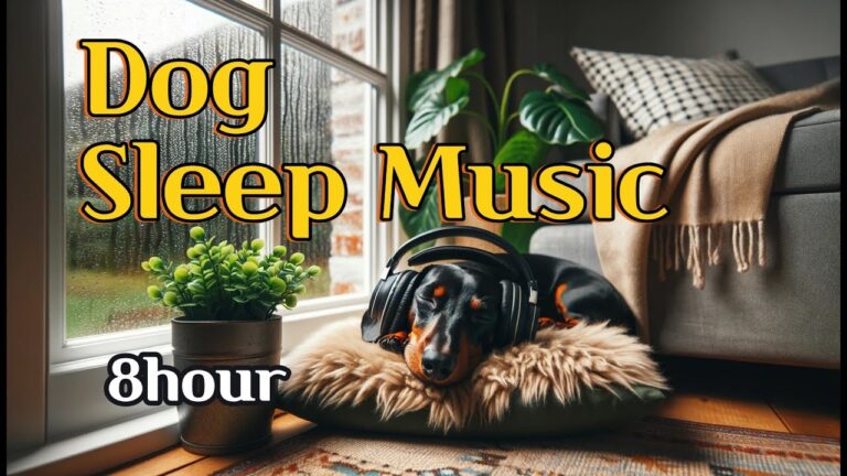 Doggy Dreamland☆ Calming Music for Pets+Rain sound ASMR.