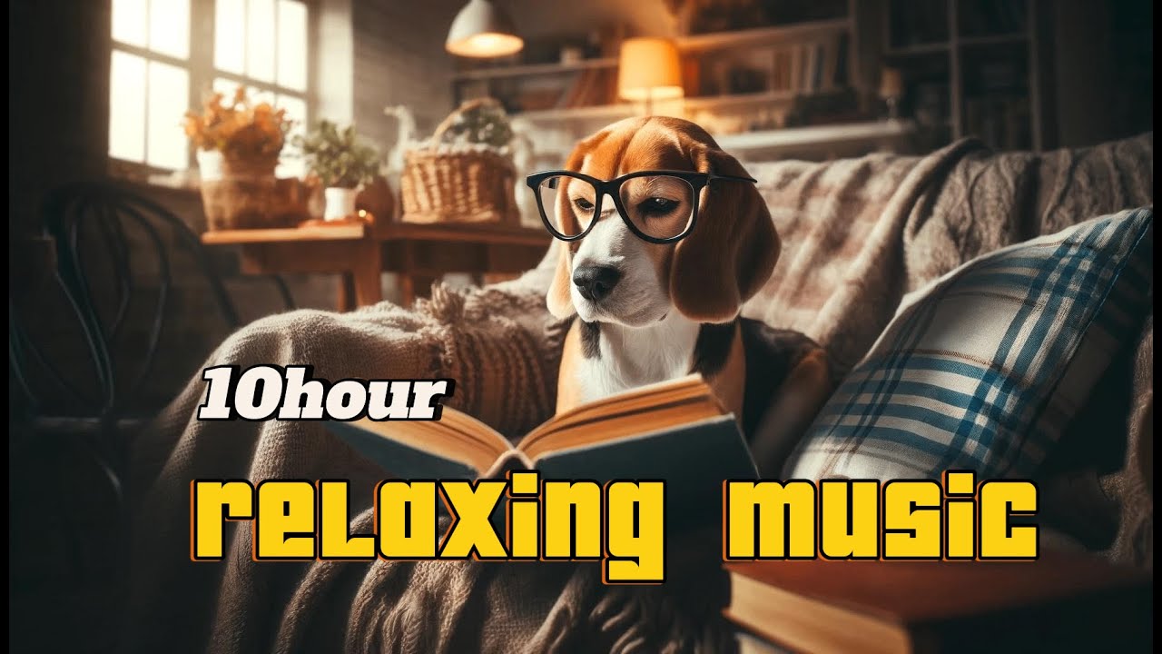 Doggy Dreams☆ Peaceful Music to Help Your Dog Sleep-Beagles version