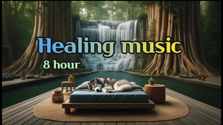 Relaxing Waterfall Sounds with a Siberian Husky-Meditation Music for Deep Sleep 🌲🌊🐶